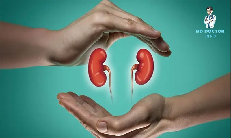 ময়মনসিংহের সেরা কিডনি বিশেষজ্ঞ